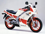 Yamaha TZR 125 R (93-00) Standard Screen by PowerBronze