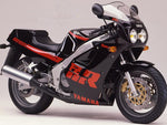 Yamaha FZR 1000 Genesis (87-88) Standard Screen by PowerBronze