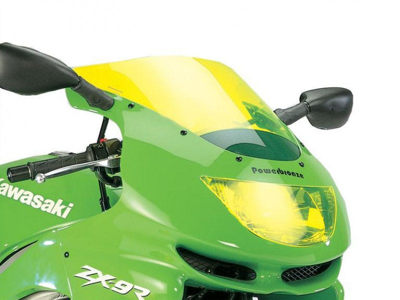 Kawasaki ZX-9R (98-99) Headlight Protector by PowerBronze