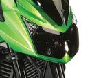 Kawasaki Z750 R (11-12) Headlight Protector by PowerBronze